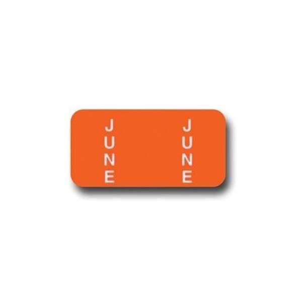 Asp File Right Color-Code Month Labels - Ringbook, 1 Set: Jun Pk 375
